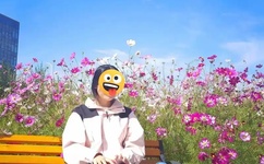 清纯校花被调教高H